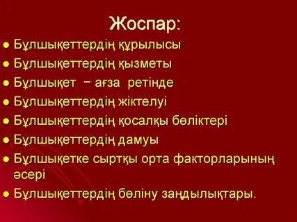 Видеоны ешкім көрмей тұрғанда жыныстық қатынас