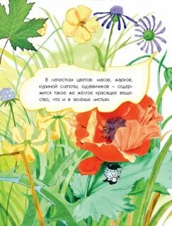 Маков стихи