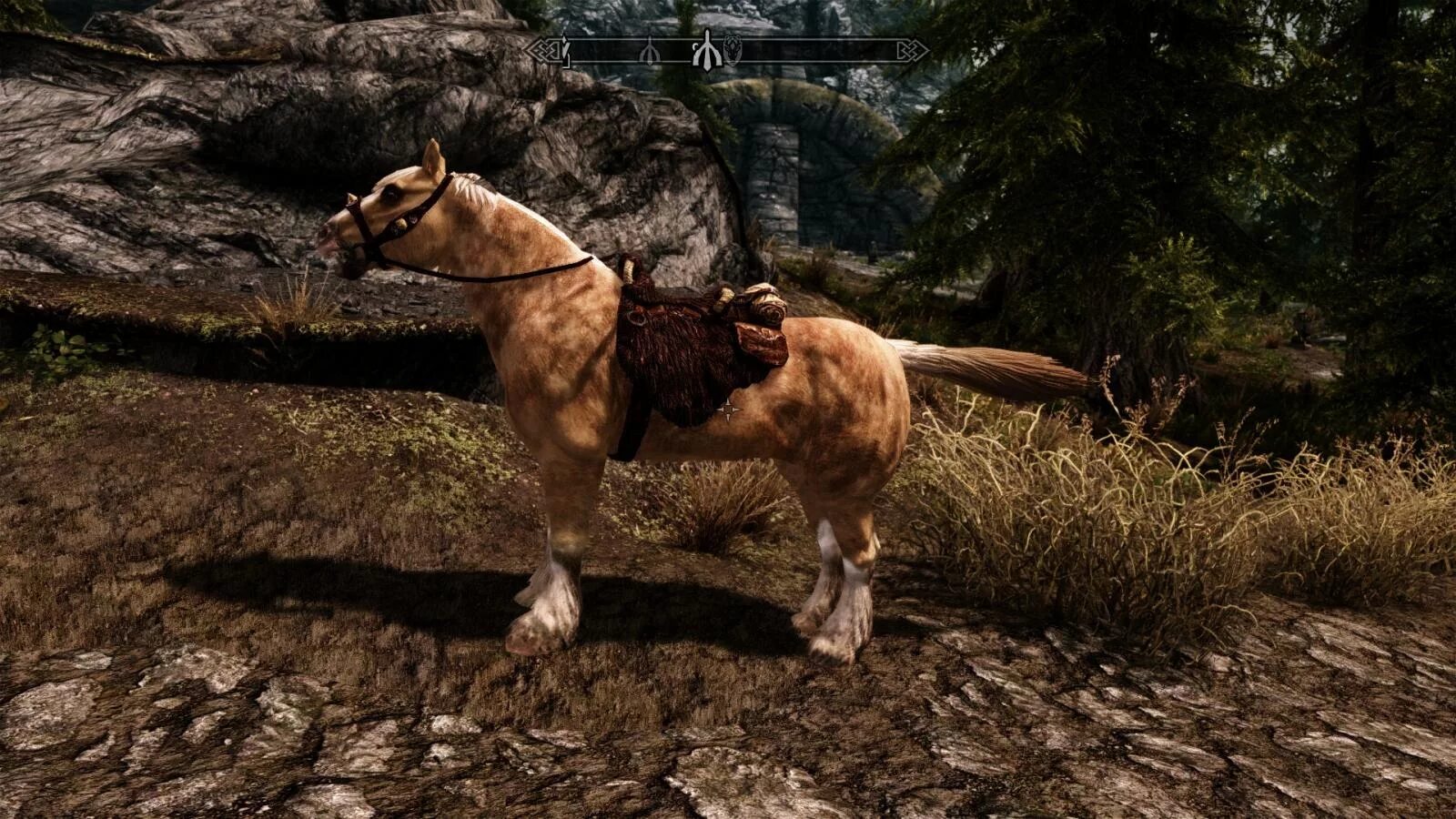 Animals skyrim