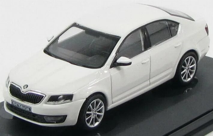 Rapid model
