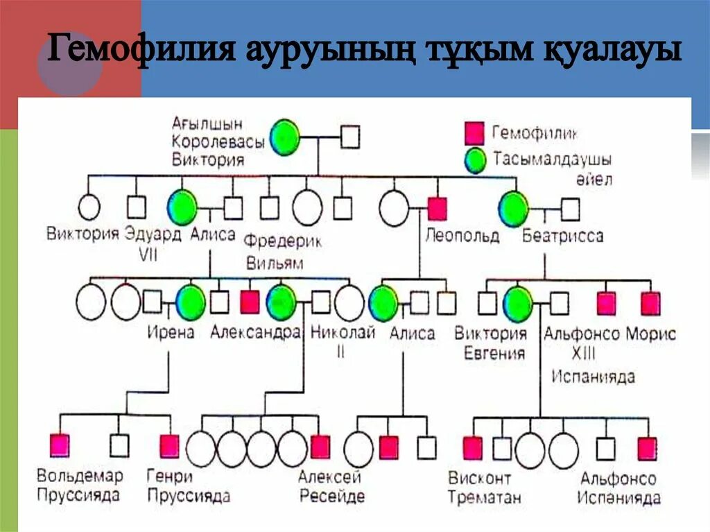 Схема наследования гемофилии. Гемофилия презентация. Презентация на тему гемофилия генетика.