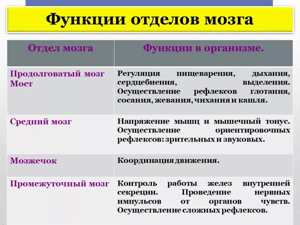 Промежуточный строение и функции. Промежуточный мозг строение и функции таблица. Промежуточный отдел головного мозга функции. Промежуточный мозг отделы и функции таблица. Таблица отдел головного мозга и функции промежуточный мозг.