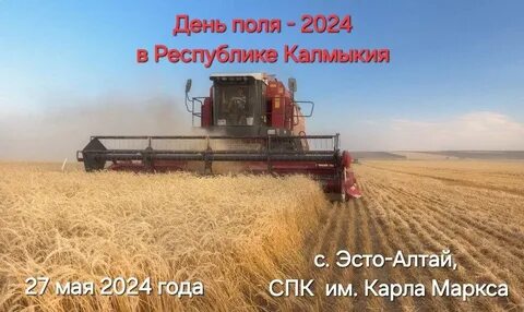 Зерновой саратовская область