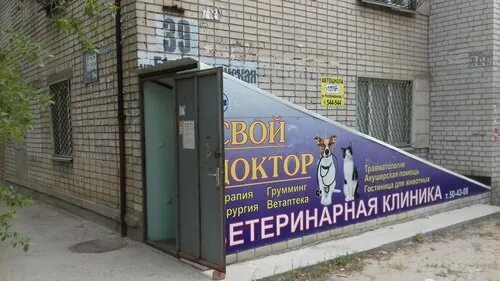 Волгоград ветеринарная круглосуточная. Медицинский центр пархоменко 15 волгоград. Волгоград ветеринарная круглосуточная. Номер телефона ветлечебницы. Волгоград ветеринарная круглосуточная.