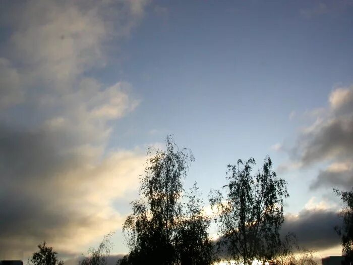 вечером пройдет майский дождь и прогремит гроза