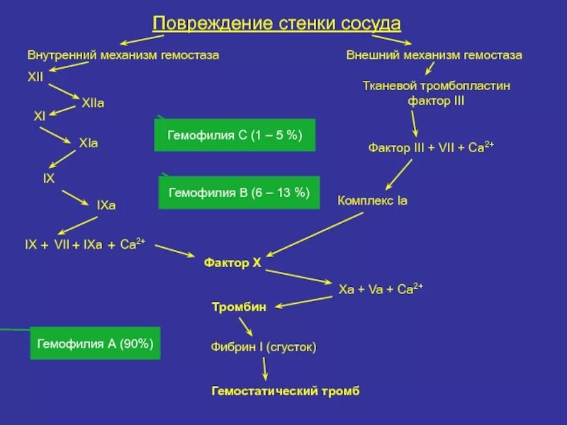 Схема нормального гемостаза. Фактор iii тканевой тромбопластин. Гемостаз презентация. Внешние и внутренние факторы гемостаза. Система гемостаза.