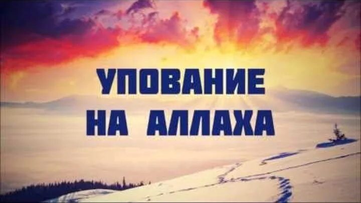 Уповать на всевышнего. Уповай на Аллаха. Уповай на Всевышнего. Упование в Исламе. Уповай на Аллаха картинки.