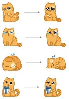 Значит котика