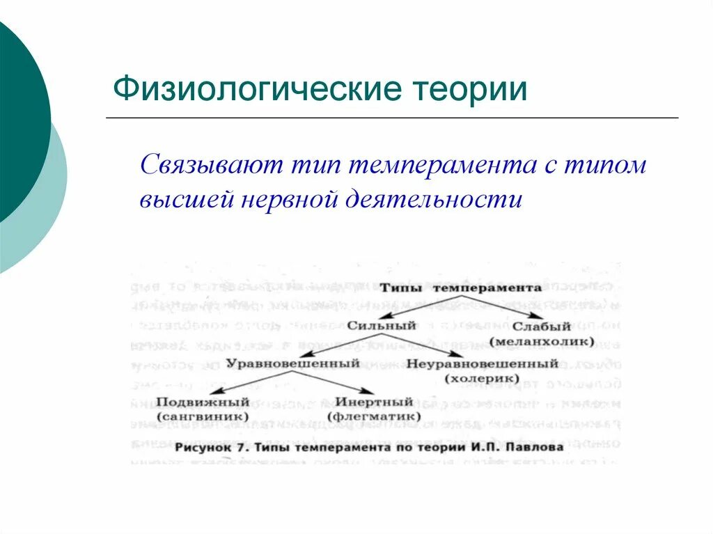 Физиологические концепции сознания. Физиологическая теория. Современные теории сознания в психологии. Физиологическая теория темперамента. Учение о темпераменте физиологические основы темперамента