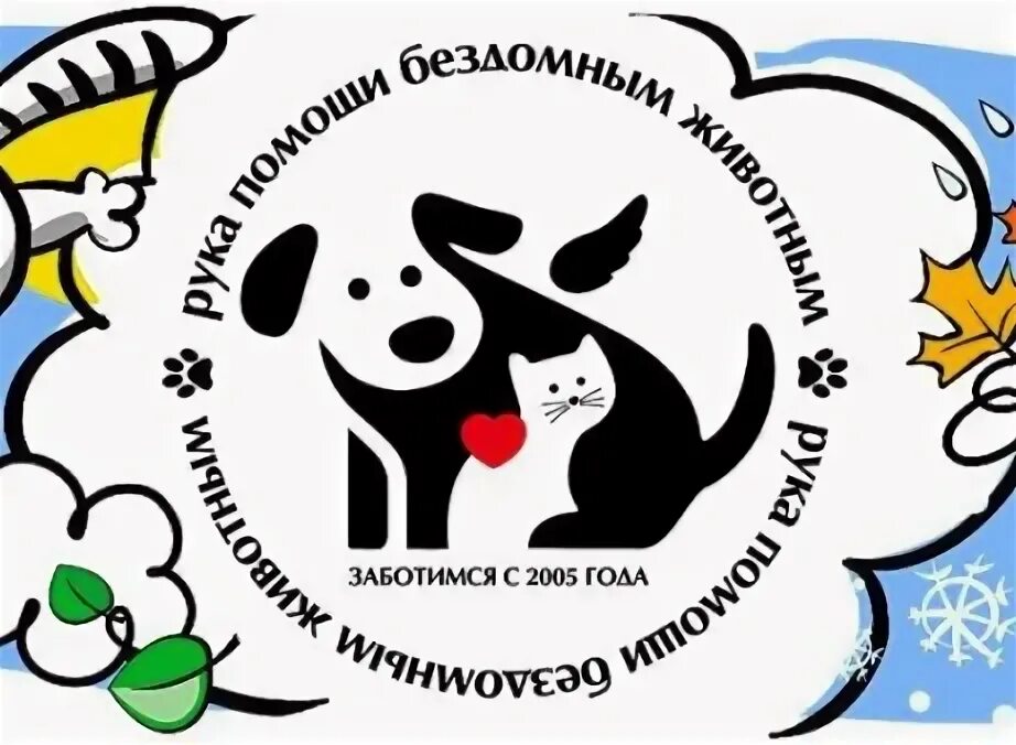 Фонд рука помощи пенза. Фонд рука помощи бездомным животным пенза. Фонд рука помощи пенза. Благотворительный фонд пензенской области доклад. Благотворительная акция мы дарили апельсин.