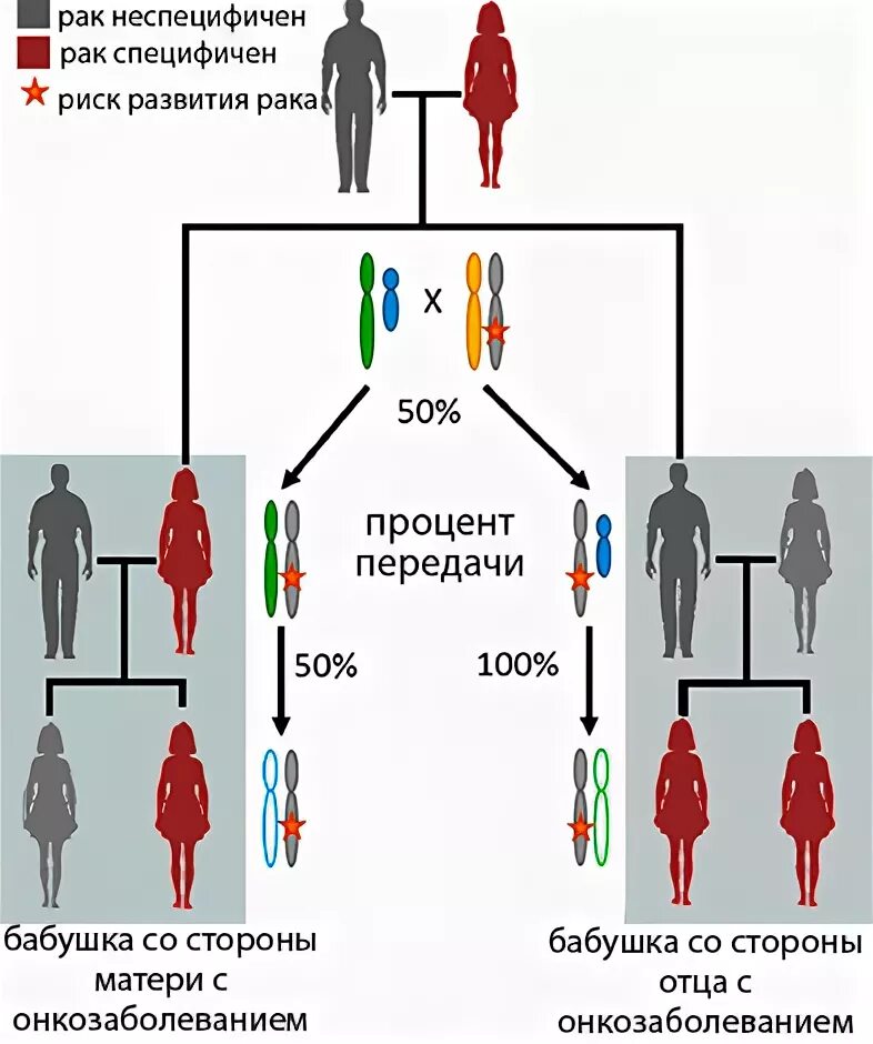 Вероятность рака у человека. Генетическое наследование. Тип наследования предрасположенности к онкологическим заболеваниям. Наследование онкологических заболеваний. Предрасположенность к онкологии по наследству.