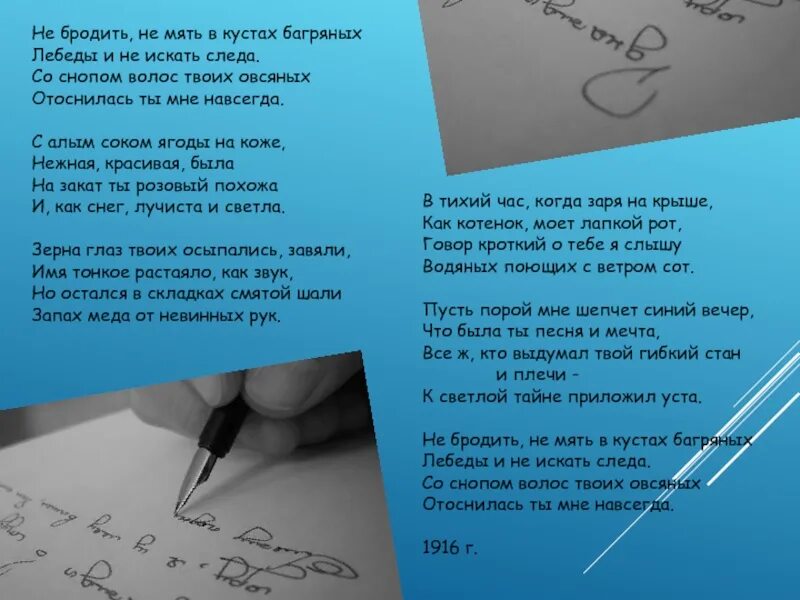 стих есенина не бродить не мять в кустах багряных. стихотворение не бродить не мять в кустах. не бродить не мять в кустах багряных. есенин стих в кустах багряных. есенин стих в кустах багряных.