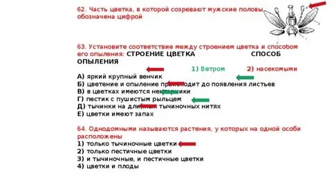 Установи соответствие между структурами цветка