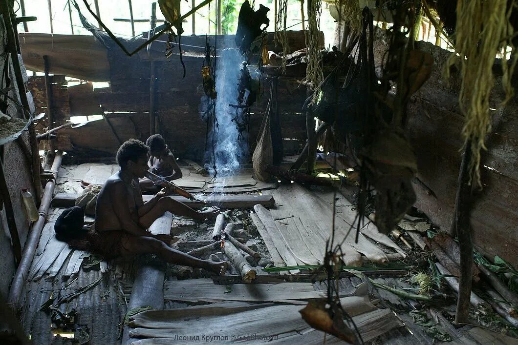 Новая Гвинея. Племя КОРОВАИ. Племя КОРОВАИ Папуа новая Гвинея. Индонезия — племя КОРОВАИ. Племя караваи новая Гвинея дома. Люди живущие на деревьях