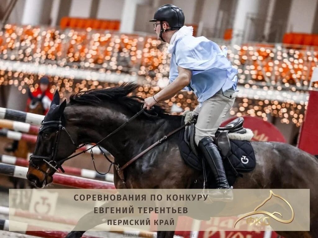 Открытка с днем тренера по конкуру. Конкур на новый год. Конкур на новый год. Кск дивный падиково зоопарк. Костюмированная выездка.