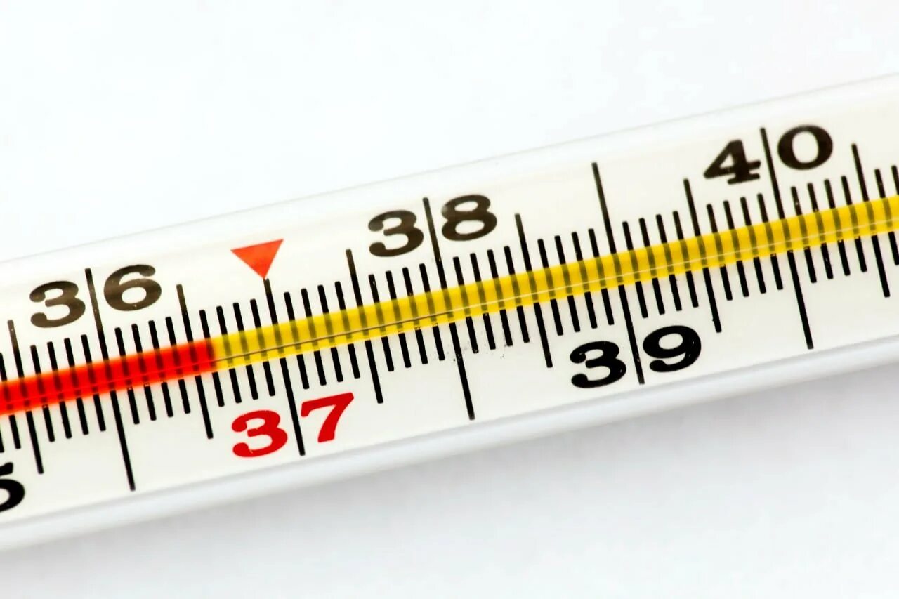 Градусник с температурой 36.6. Градусник ртутный с температурой 36 6. Градусник с высокой температурой на белом фоне. Термометр измеряет температуру тела.