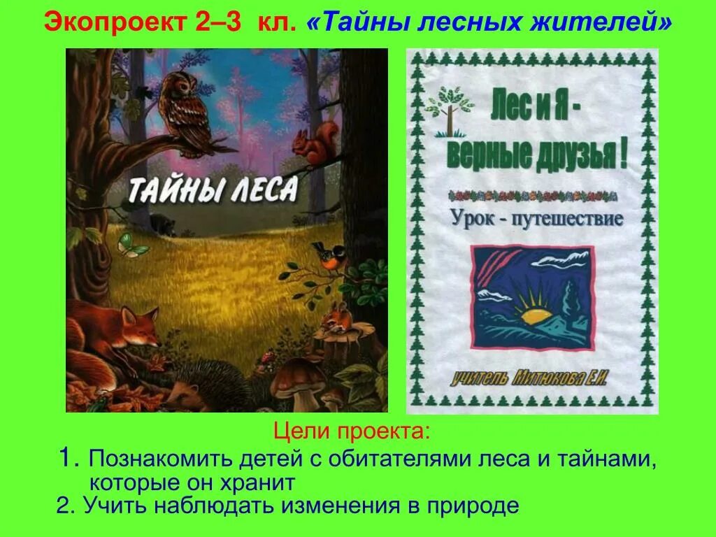 Тайны лесных жителей. Тайны леса детям. Тайны леса книга. Тайны леса в рассказах.