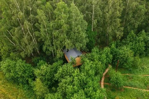 Отель лапочкино гнездо