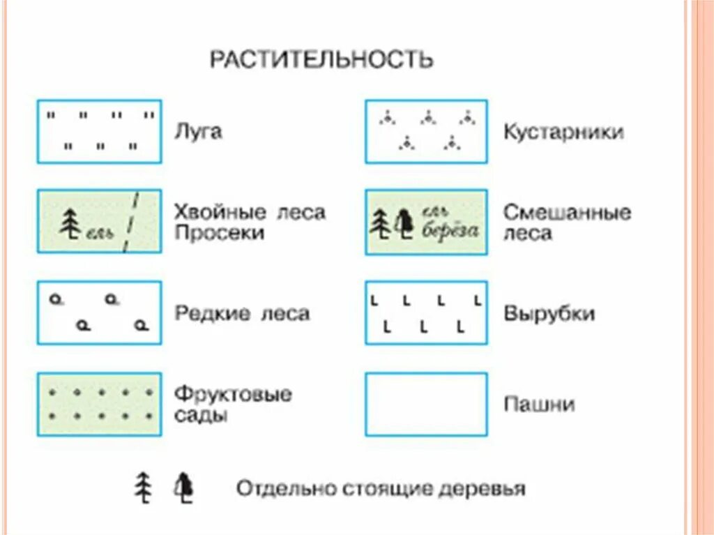 Условные знаки деревьев. Топографические условные знаки растительность. Кустарник на обозначениях топографический карт. Условные знаки растительности топографических карт. Обозначение хвойного леса на топографической карте.