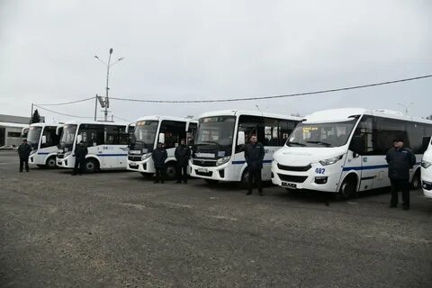 Автобус петрозаводск сегодня