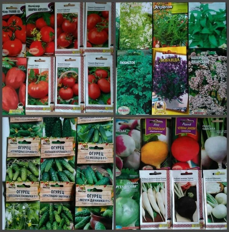 Купить семена владивосток. Семена овощей. Семена для огорода. Овощи и цветы семена. Ассортимент семян овощей.