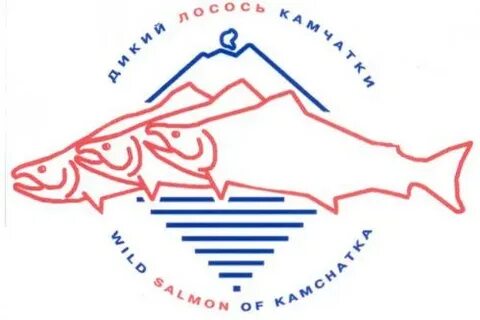 Слоганы камчатского края