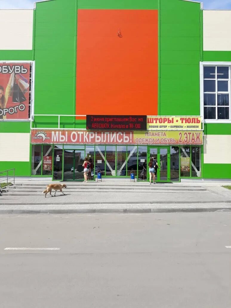 зоомагазины аксай ростовская область. зоосити на тимирязевской. оптимист отель аксай. магазин животных. интернет аксай.