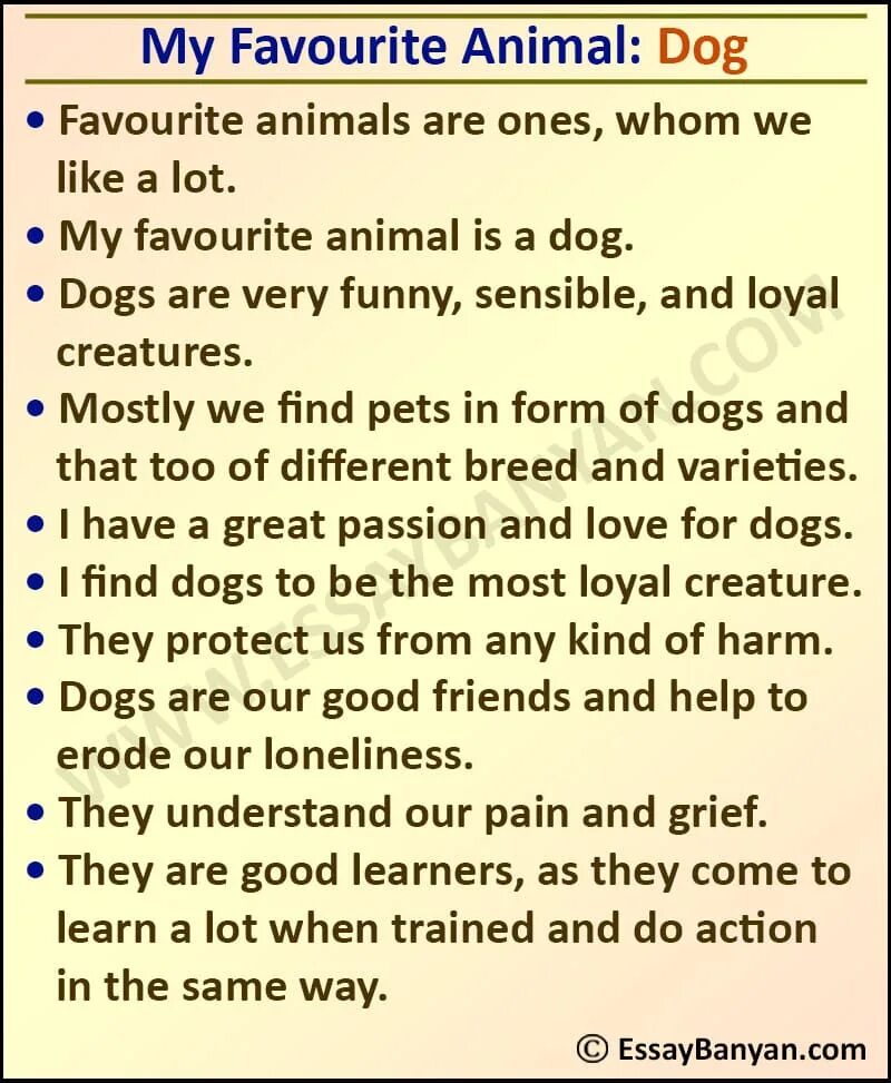 Wild animals essay. Animals essay. Sample essay about animals. Protecting animals essay.