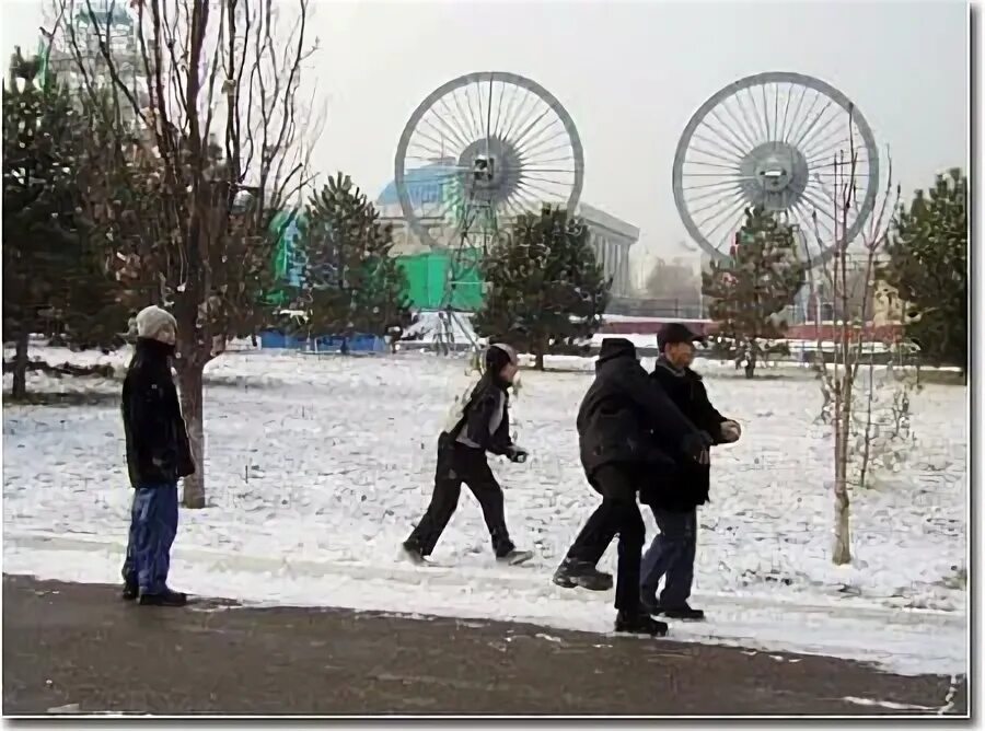 14 градусов завтра. 14 градусов завтра
