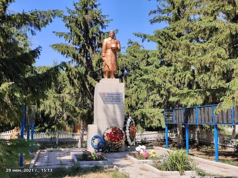 Новомихайловка новосибирская. Новомихайловка Запорожская область. Село Новомихайловка Янгиюльский район. Село Новомихайловка Украина. Новомихайловка Казахстан.