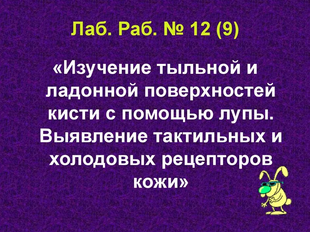 Проведите самонаблюдение рассмотрите под лупой тыльную. Изучение тыльной и ладонной поверхности кисти с помощью лупы. рассмотрите под лупой тыльную поверхность. самонаблюдение кожи. рассмотрите под лупой тыльную поверхность кисти и кожу.