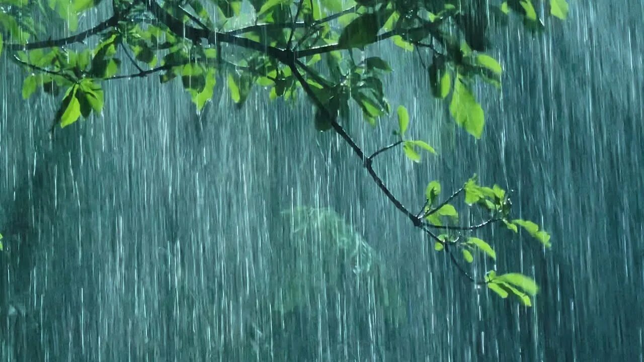 Слушать звук природы дождь
