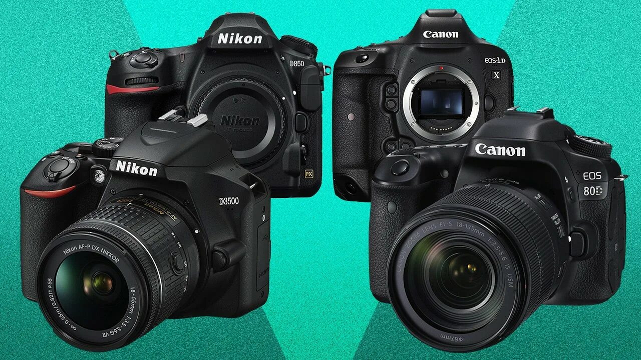Линейка зеркальных фотоаппаратов nikon. Линейка зеркальных фотоаппаратов canon. Камера для начинающего фотографа. Фотоаппараты топ 10 лучшие из дешевых зеркальных. Много фотоаппаратов.