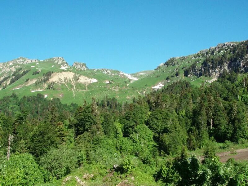 гузерипль адыгея партизанская поляна. озеро партизанская поляна адыгея. партизанская поляна лагонаки. партизанская поляна гузерипль озеро. махош поляна адыгея.