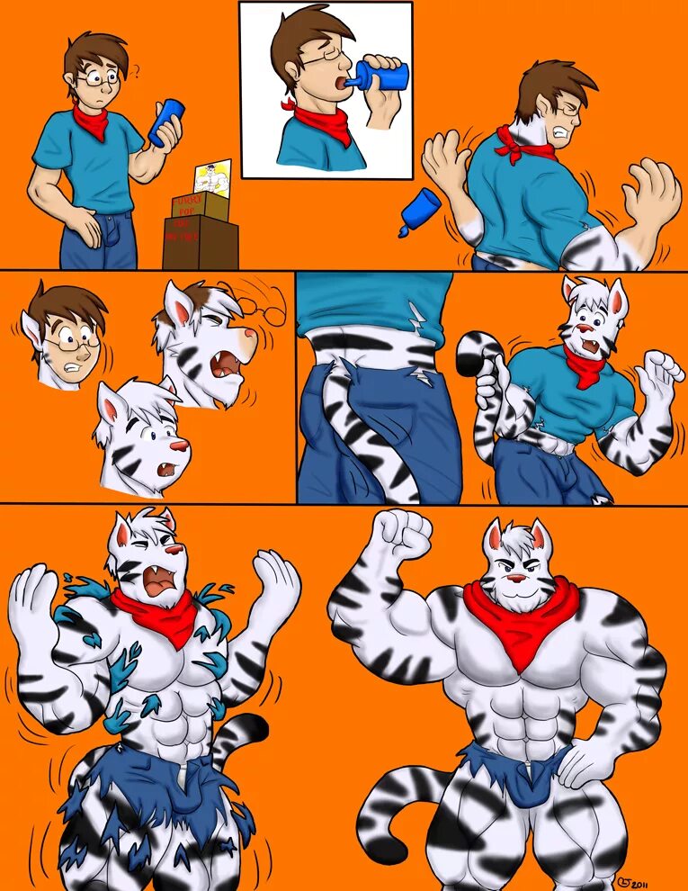 Furry transformation comic. Фурри трансформация. Превращение в фурри. Фурри качки трансформация. Transformation furry мускулы.