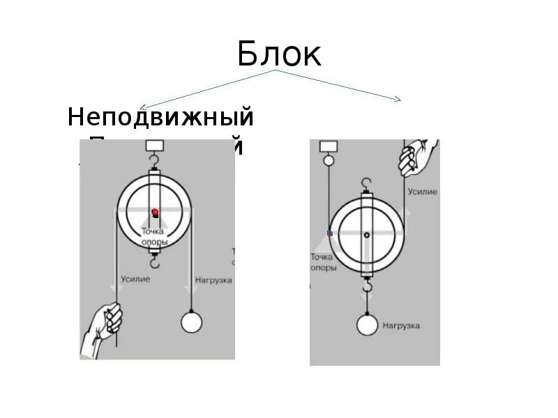 С помощью неподвижного блока ответ