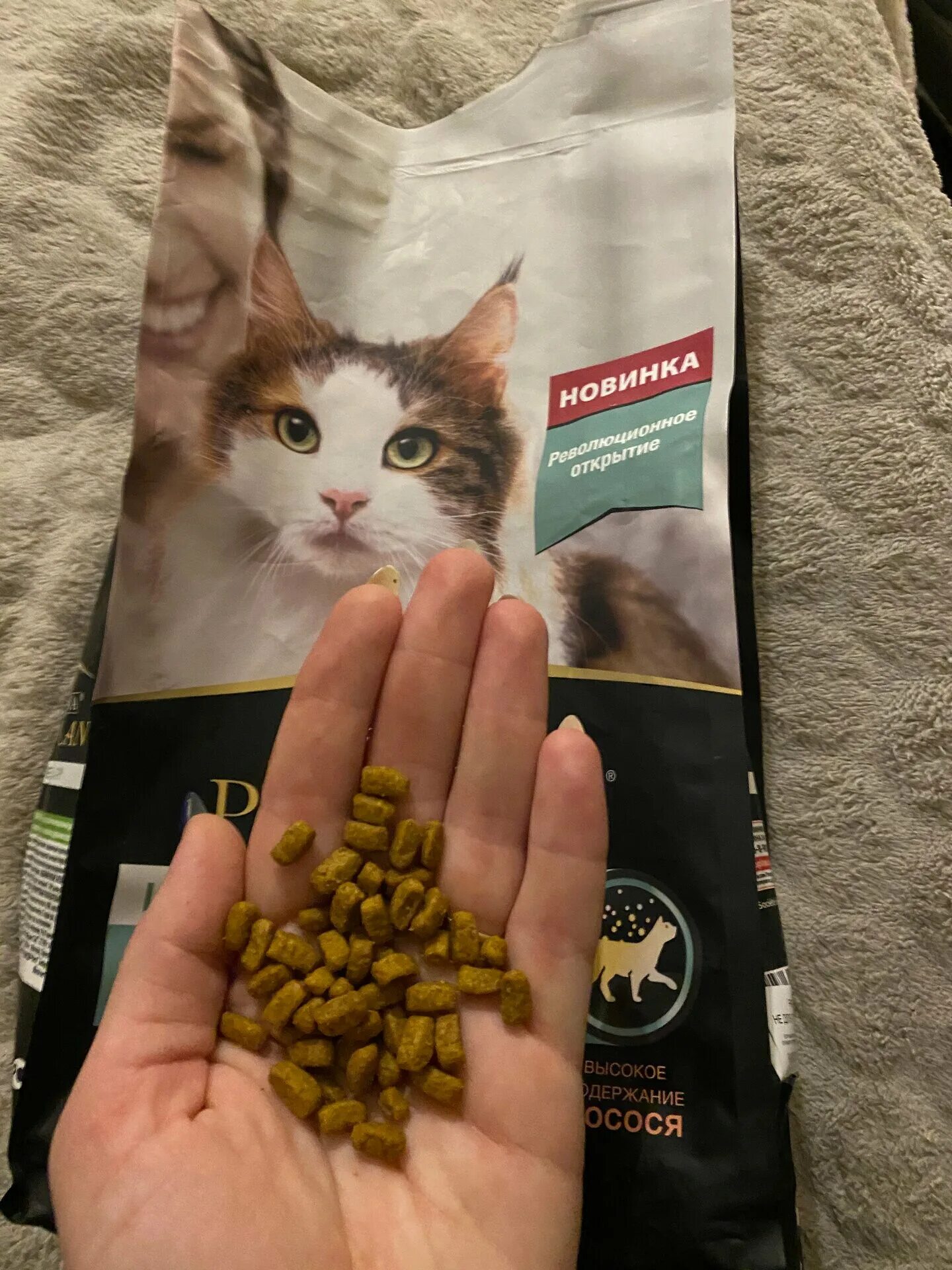 Корм для кошек снижение аллергенов в шерсти. Корм для кошек снижающий аллергены pro plan. Корм снижающий аллергенность кошек. Проплан live clear для кошек. Проплан для кошек против аллергии у людей.