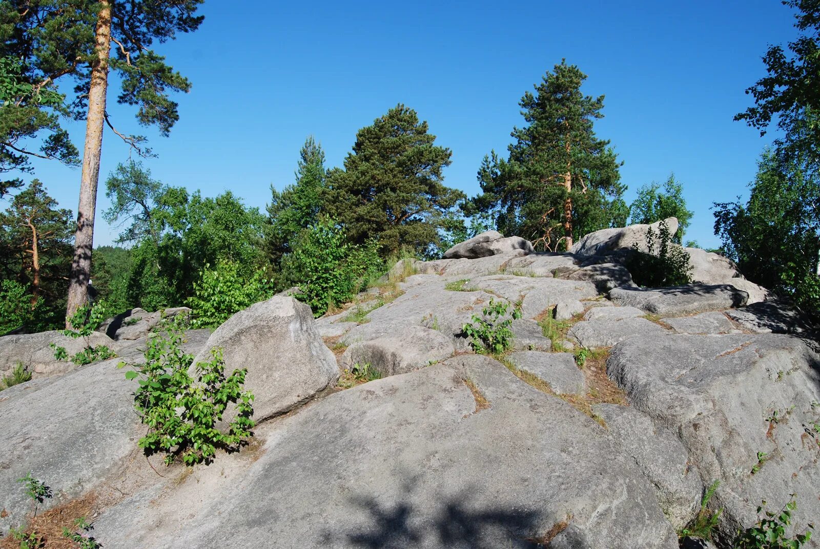Stone екатеринбург. Соколиный камень Свердловская область. Соколиный камень Северка. Соколиный камень Красноуфимск. Река Северка Соколиный камень.