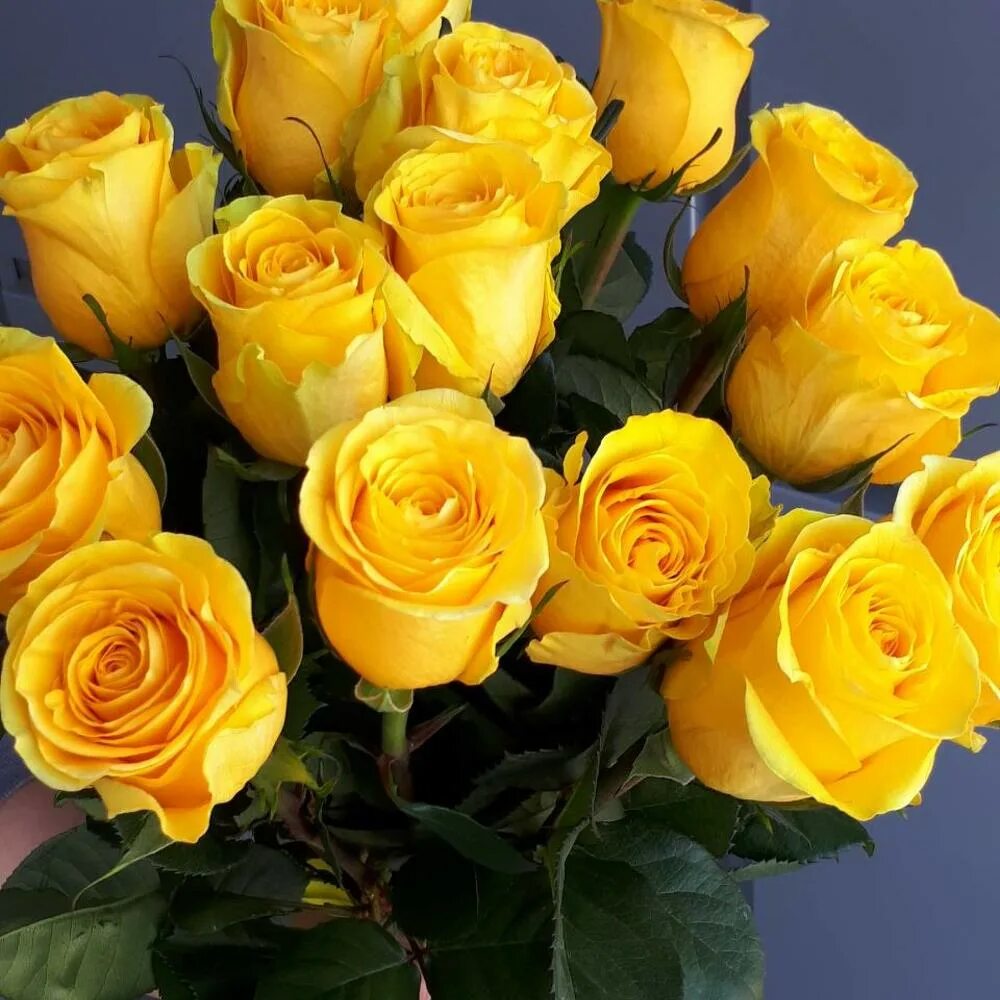Желтые розочки. Букет пенни Лейн. Сорт розы ол Райт. Желтые голландские розы.