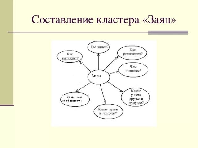 Кластеры особенности. Составление кластера. Алгоритм составления кластера. Кластер шинель. Прием составление кластера критическое мышление.