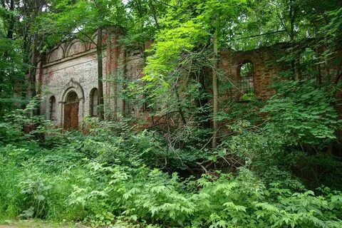 Борщевка рыльского уезда