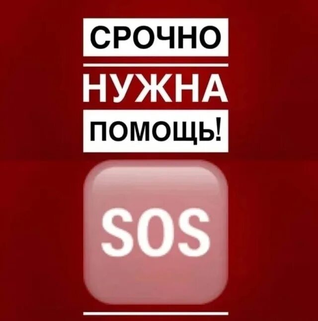 Срочно нужен куратор. Срочно нужна помощь. Sos срочно нужна помощь. Сос нам нужна помощь она здесь ремикс. Sos картинка о помощи.