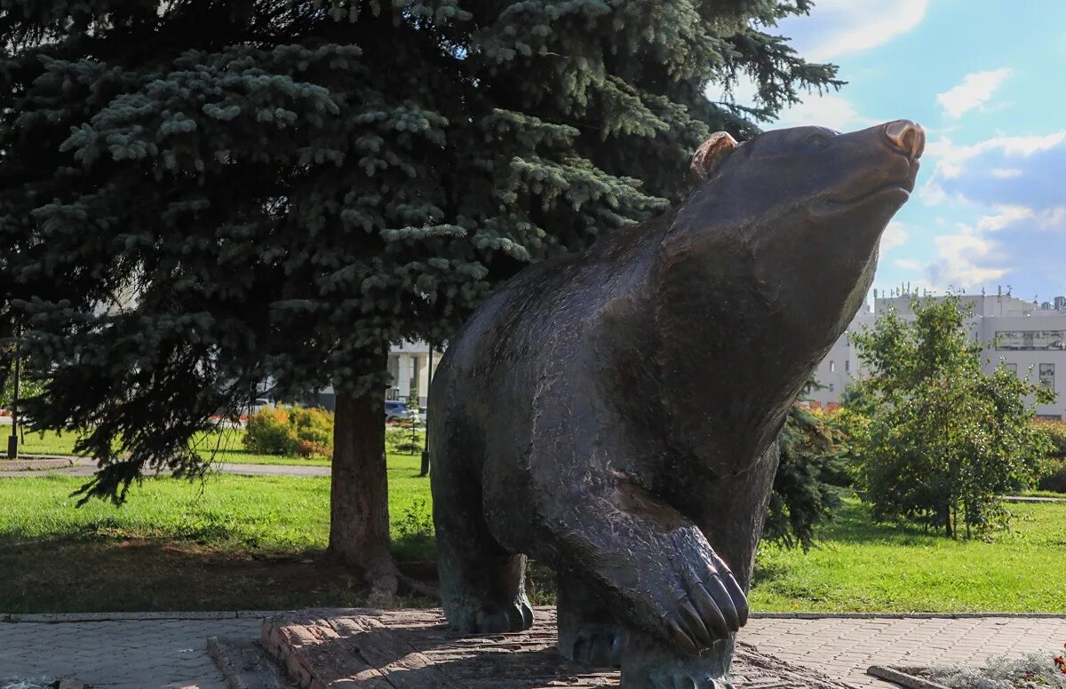 Пермь центр города. Спасо-преображенский собор пермь ночью. Пермский медведь памятник. Город пермь. Город пермь ночью.