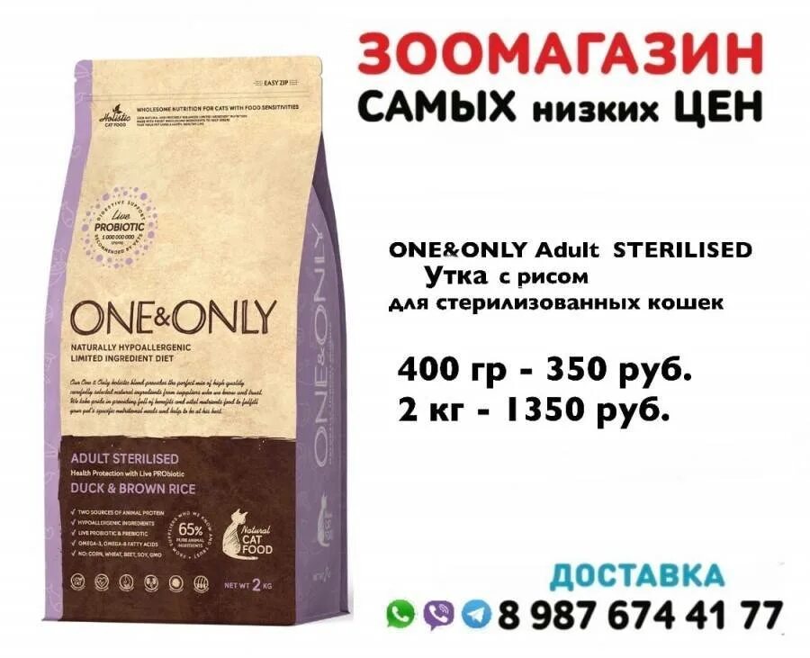 One only корм для кошек Holistic. Сухой корм для котят one only. Корма холистики для котят. Высокобелковый корм для кошек.