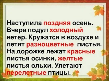 Наступила поздняя осень дни стали