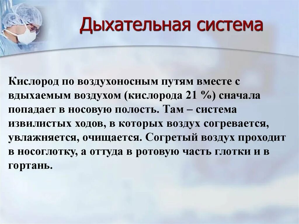 Воздух очищается согревается. Воздух сначала попадает в. В каком органе дыхания воздух обогревается. Вдыхаемый воздух сначала попадает:. Дыхание без кислорода примеры.