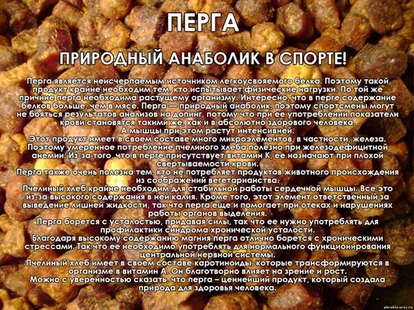 Как пить пергу
