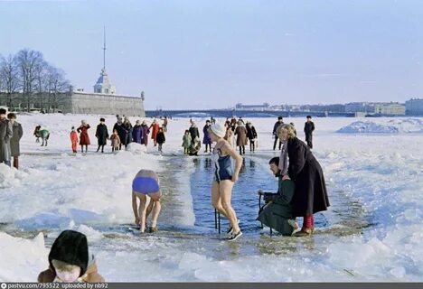 Моржи спб