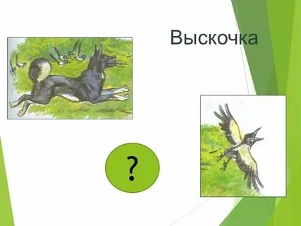 Богач выскочка 7