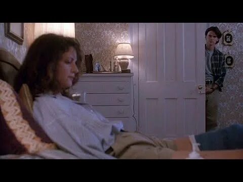 Раскрепощение Spanking The Monkey 1994